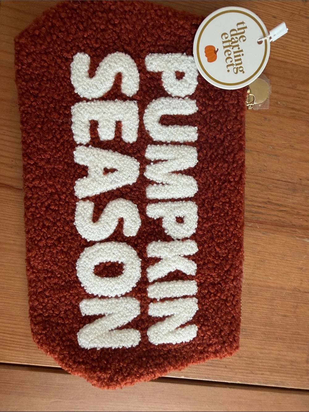 The Darling Effect Pumpkin Season Chenille Pouch - Rust Orange & Cream NWT